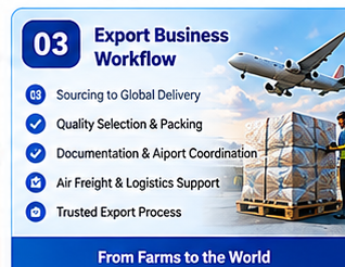 Export Business Workflow